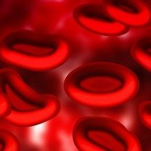 red blood cells aging