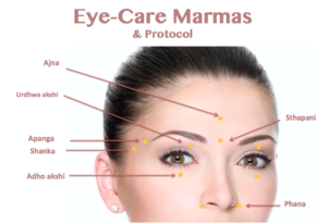 Women's Face with Ayurvedic Marma points Listed 