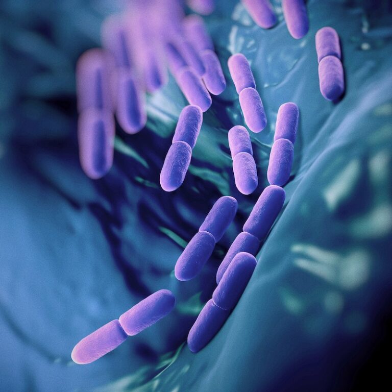 The Probiotic Puzzle: Promoting Gut Health for Peak Performance