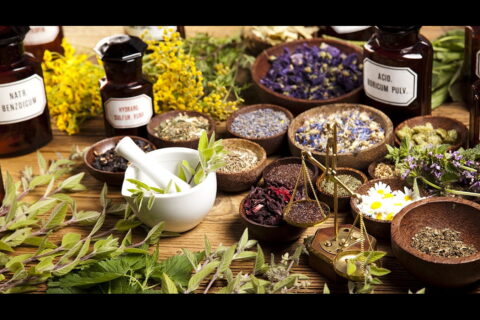 Natural Medicinal Remedies Used in the 1800s