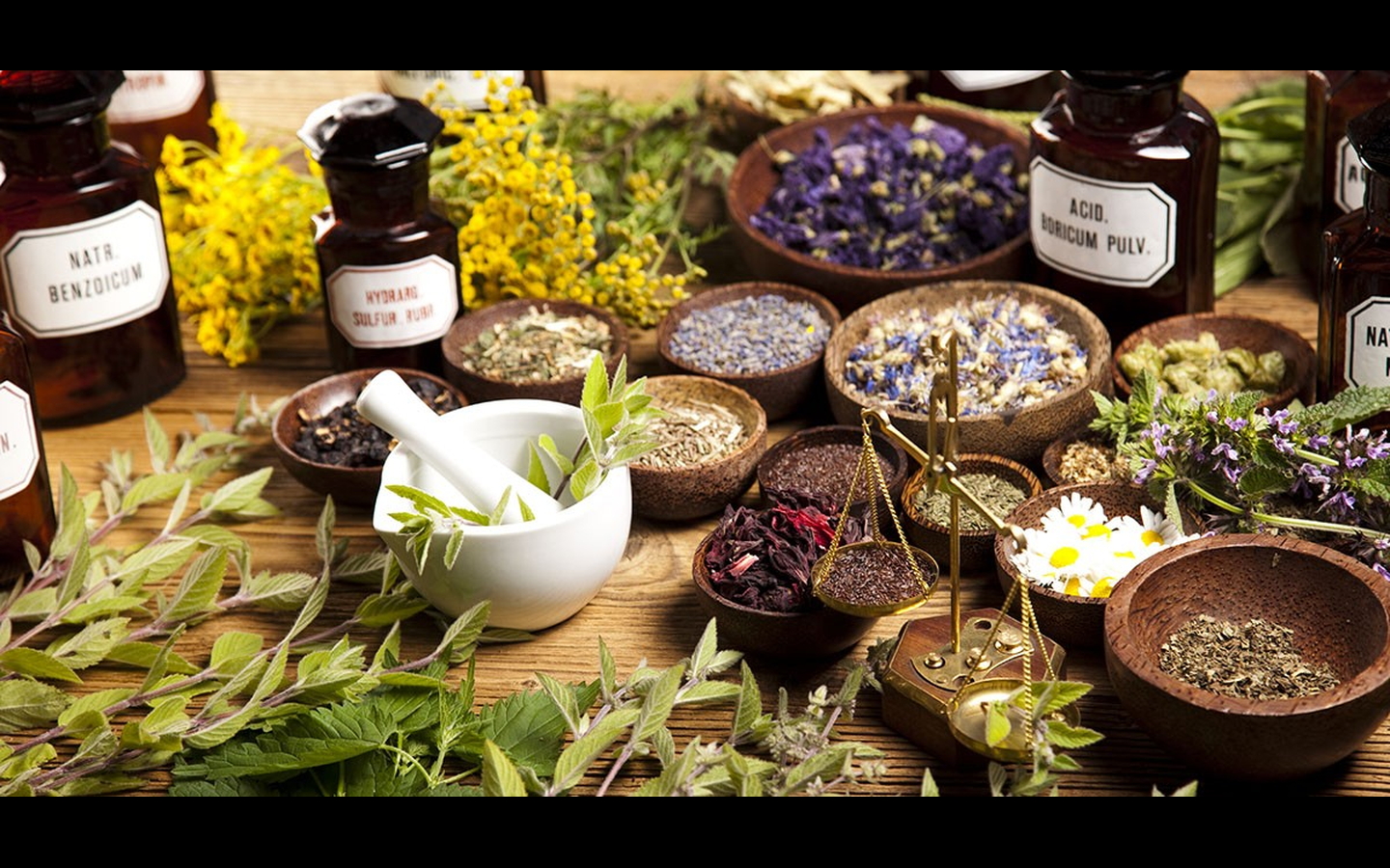 Natural Medicinal Remedies Used in the 1800s