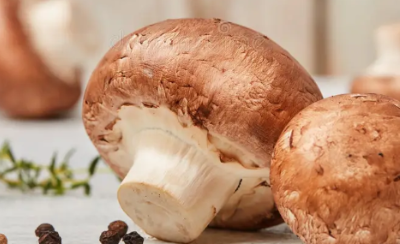 edible mushrooms for health, benefits of eating mushrooms, immune-boosting mushrooms, antioxidant-rich mushrooms, low-calorie mushroom snacks, high-protein mushrooms, mushrooms for heart health, anti-inflammatory mushroom properties, mushrooms rich in vitamin D, gut health mushrooms, healthy mushroom recipes, medicinal edible mushrooms, superfood mushrooms, mushrooms and brain health, natural energy from mushrooms